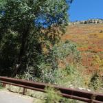 OTRA_2016_0350 (October 05, 2016)